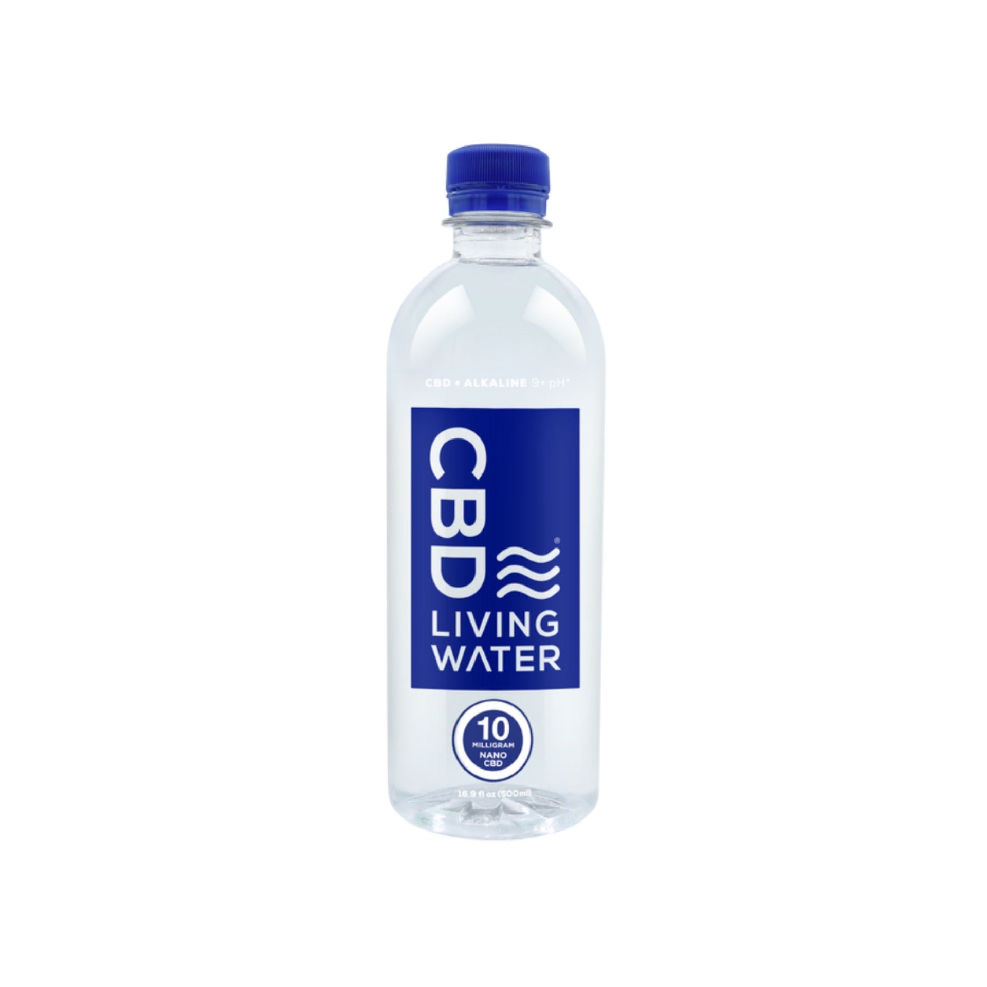 CBD Living Water Palmetto Hemp Provisions
